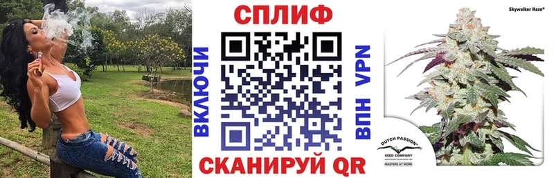 Псилоцибиновые грибы Зуевка