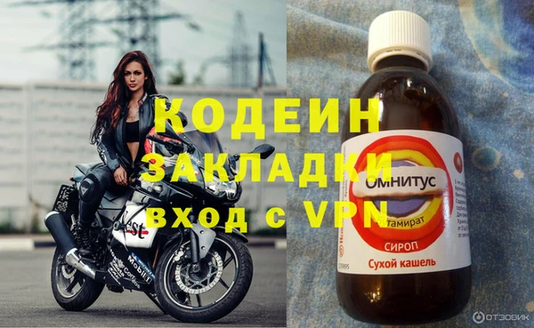 стаф Балахна