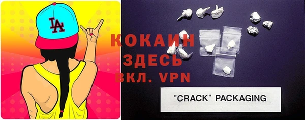 дживик Баксан