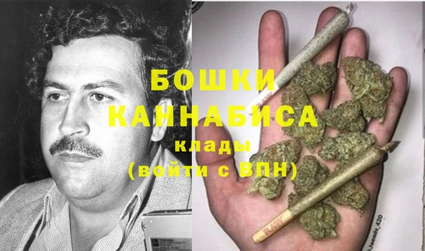 стаф Балахна