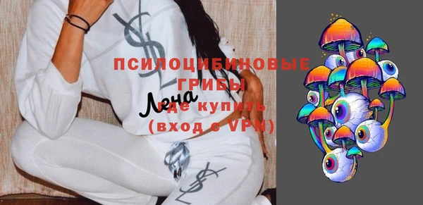 дживик Баксан