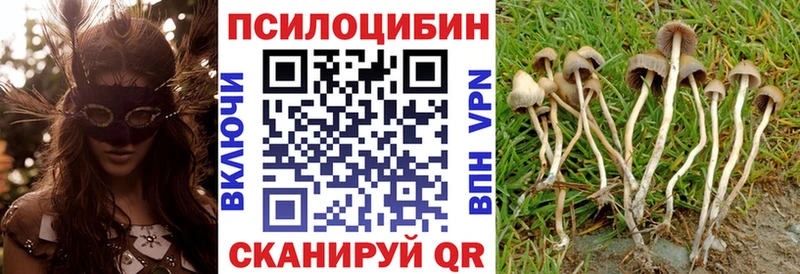 Галлюциногенные грибы мухоморы  Зуевка 